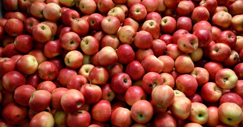 Frutose para o bem e para o mal – 24/07/2025 – Suzana Herculano-Houzel